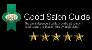 good salon guide five star award
