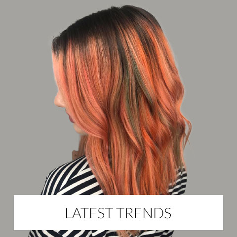 Salon Blog