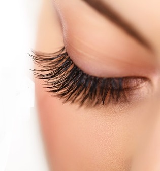 Lash Lift and Tint Cardiff Salon